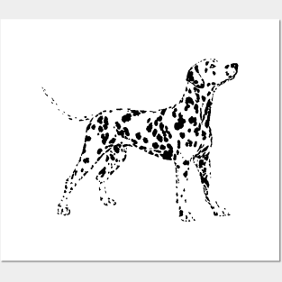 Dalmatian Posters and Art